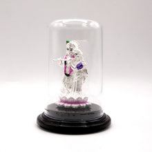 999 Silver Radha-Krishna Murti in Case