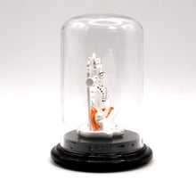 999 Silver Shiva Murti in Case