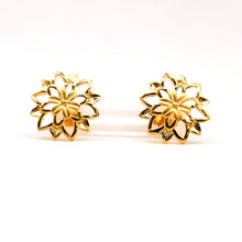 22K Gold Studs