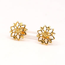 22K Gold Studs