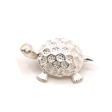 Silver Turtle