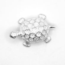 Silver Turtle