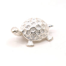 Silver Turtle
