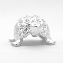 Silver Turtle