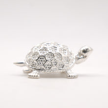 Silver Turtle