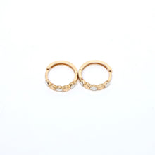 10K Gold Earrings
