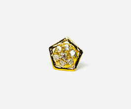 Fancy Nose pin