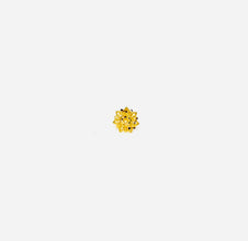 Simple Nose-Pin