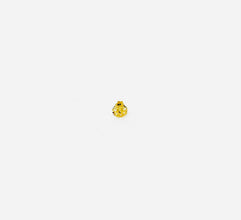 Simple Nose-Pin
